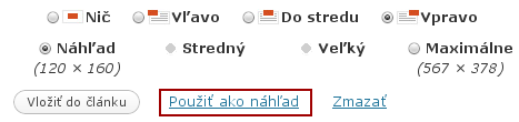 WordPress-nahlad-clanku