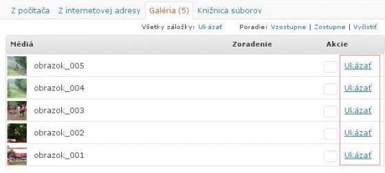 wordpress-vyber-obrazok